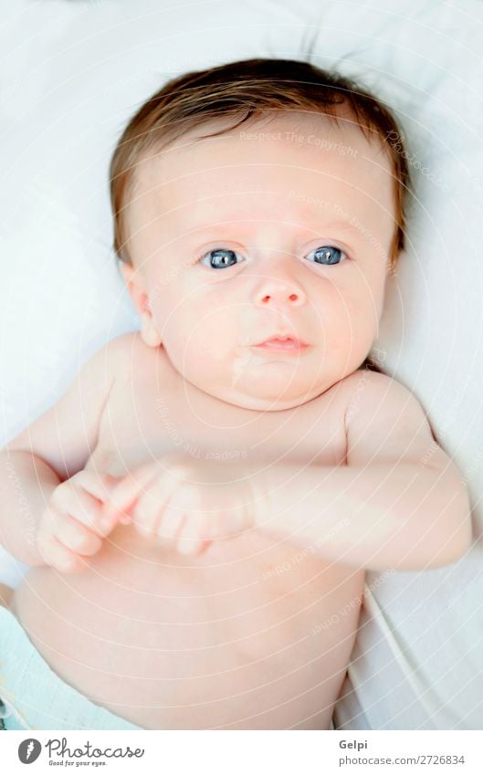 Schönes Baby mit blauen Augen Lifestyle Freude Glück schön Haut Gesicht Leben Kind Mensch Kleinkind Junge Kindheit Mund Wärme Fröhlichkeit klein niedlich