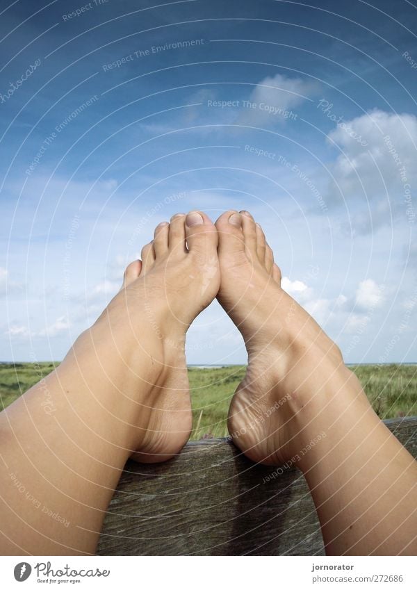 Füße - Himmel - Holz Mensch feminin Frau Erwachsene Fuß 1 Umwelt Natur Landschaft Sonnenlicht Sommer stagnierend Wolken Erholung Zehen Unterschenkel ruhen Pause