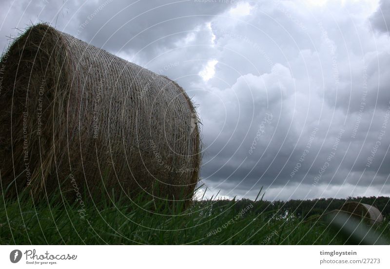 Stroh- und Wolkenballen Strohballen Heuballen bedrohlich dunkel Gras Wiese Unwetter grau