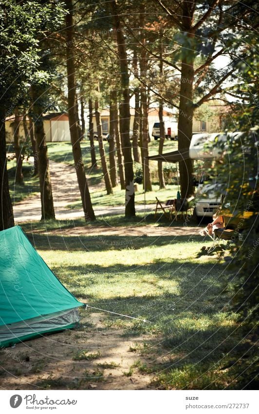 Zeltplatzfeeling Freizeit & Hobby Ferien & Urlaub & Reisen Ausflug Camping Sommer Umwelt Natur Baum Wiese Wald Wohnmobil authentisch einfach grün Erholung