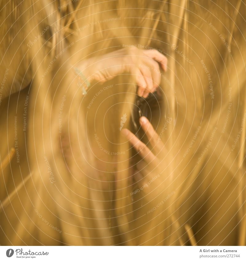 Hiddensee l Paparazzi Mensch 1 Umwelt Natur Pflanze Sonne Frühling Schönes Wetter Wärme Gras Moor Sumpf gelb gold Fotografieren stoppen Hand beobachten