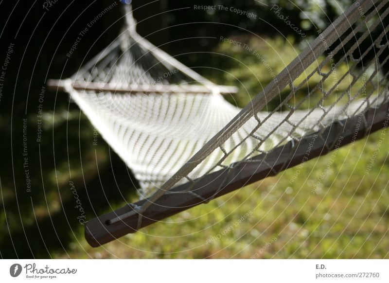 Einfach mal die Seele baumeln lassen Ferien & Urlaub & Reisen Freiheit Sommer Garten Umwelt Natur Erde Wiese Hängematte Erholung genießen hängen liegen