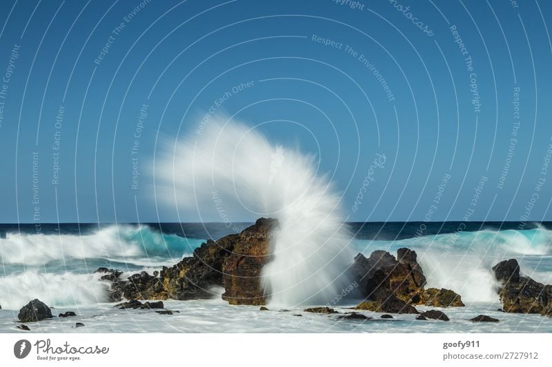 Kraftvoll Ferien & Urlaub & Reisen Tourismus Ausflug Abenteuer Ferne Freiheit Strand Meer Insel Wellen Umwelt Natur Wasser Himmel Wind Küste Bucht