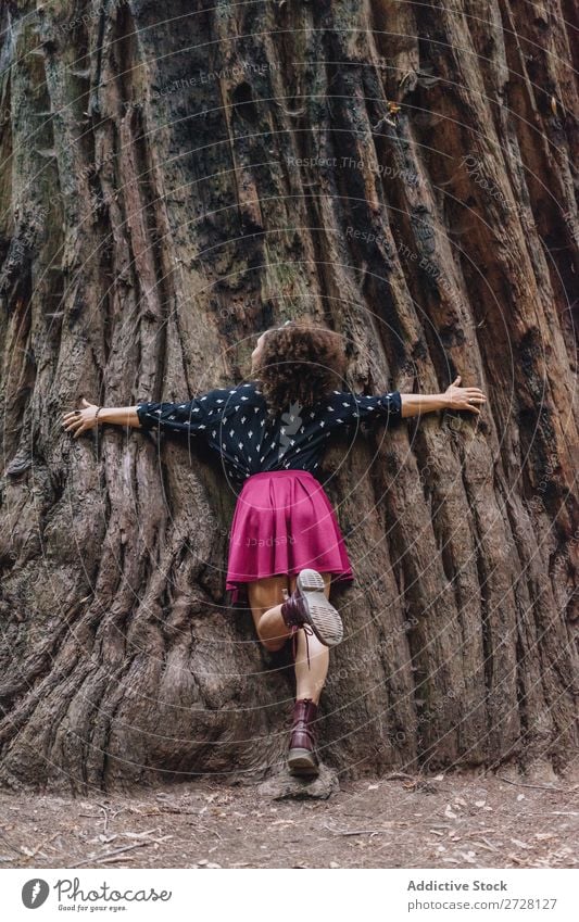 Frau umarmt Riesenbaum Baum umarmend riesig Park Rüssel Umarmen Natur Liebe Erholung Wunderland harmonisch Umwelt Wald träumen stehen natürlich Schutz reisend