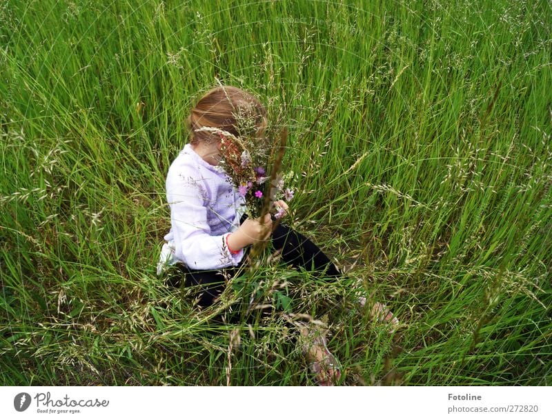 unbeschwerte Kindheit Mensch feminin Mädchen Körper Kopf Haare & Frisuren Arme Hand 1 8-13 Jahre Umwelt Natur Pflanze Sommer Gras Wiese hell natürlich grün