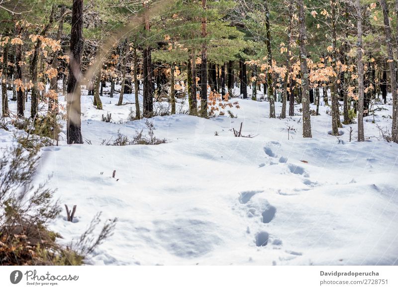 wunderschöne Aussicht auf den Landschaftshintergrund einer winterlichen Schneebergszene Bahn Berge u. Gebirge Natur weiß bedeckt Hintergrundbild