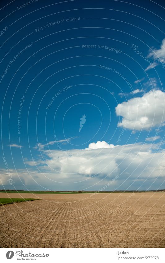 ländlicher raum. Landschaft Erde Sand Himmel Wolken Schönes Wetter Feld Unendlichkeit blau ruhig Einsamkeit Horizont Natur Perspektive Ferne Ebene Spuren flach