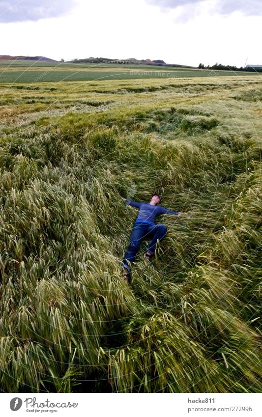 Ein Bett im Kornfeld Lifestyle Wohlgefühl Zufriedenheit Erholung ruhig wandern feminin Junge Frau Jugendliche 1 Mensch 18-30 Jahre Erwachsene Umwelt Natur