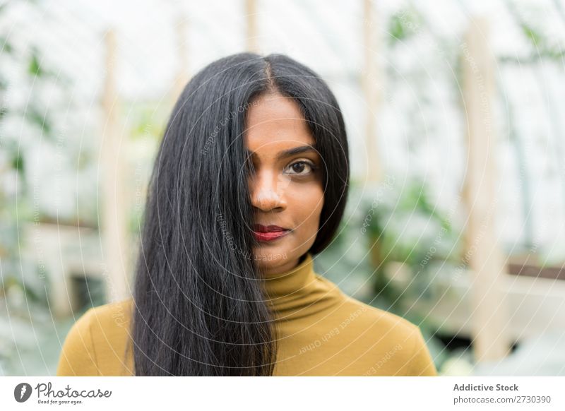 Hübsche indische ethnische Frau im Treibhaus hübsch Gewächshaus Natur grün Stil Blick in die Kamera urwüchsig Pflanze Gärtner schön Jugendliche Garten Lifestyle