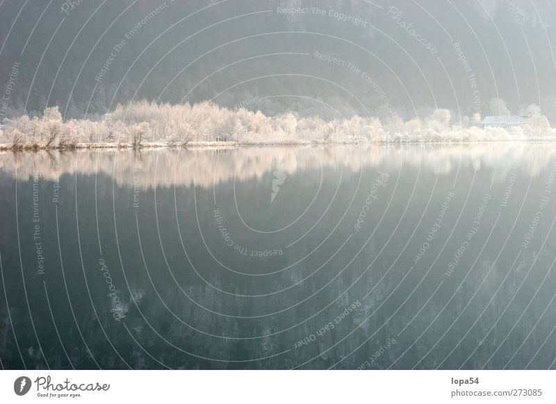 Winter am Fluss Schnee Umwelt Natur Landschaft Wasser Herbst Schönes Wetter Eis Frost Seeufer Flussufer Stausee Inn ästhetisch hell kalt weiß Einsamkeit Klima