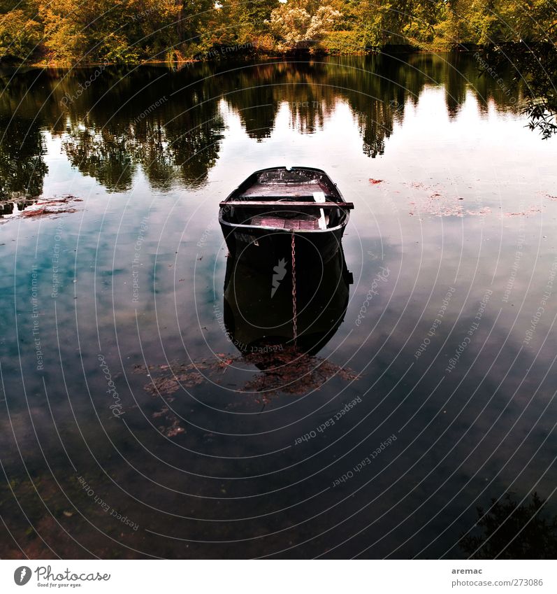 Ruheplatz Natur Landschaft Wasser Himmel Sommer Baum Wald Seeufer Teich Fischerboot Ruderboot dunkel ruhig Farbfoto Gedeckte Farben Außenaufnahme Menschenleer