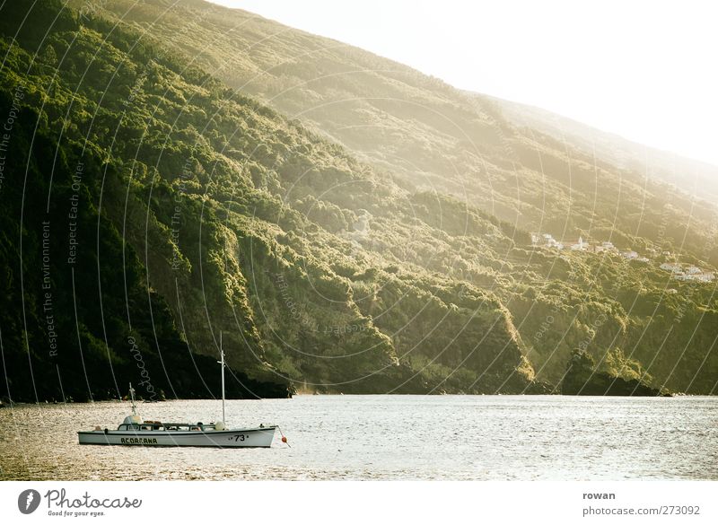 vor anker Ferien & Urlaub & Reisen Ausflug Natur Landschaft Wellen Küste Bucht Fjord Meer ruhig Wald Wasserfahrzeug Anker ankern Pause Erholung Segeln Motorboot