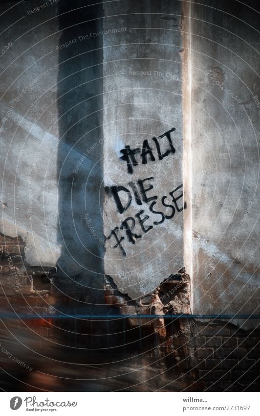 Halt die Fresse Mauer Wand Schriftzeichen Text Graffiti Aggression rebellieren Wut Redewendung Sprechverbot Farbfoto Außenaufnahme