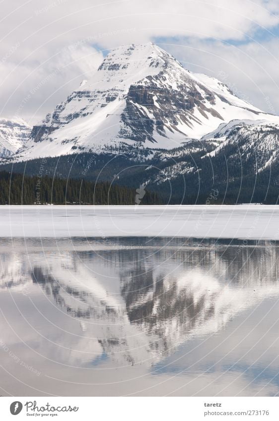 Spiegelberg Ferien & Urlaub & Reisen Ferne Freiheit Umwelt Natur Wolken Frühling Schönes Wetter Berge u. Gebirge Rocky Mountains Gipfel Schneebedeckte Gipfel