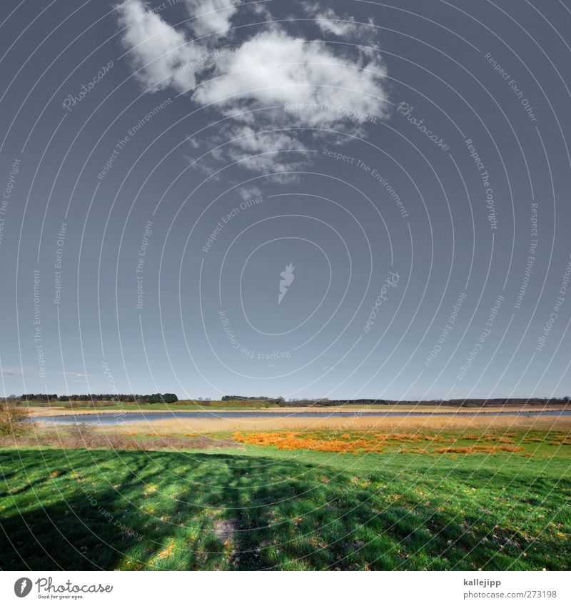 guten morgen Freizeit & Hobby Umwelt Natur Landschaft Pflanze Tier Erde Luft Wasser Himmel Wolken Horizont Frühling Sommer Klima Schönes Wetter Wiese Feld Wald