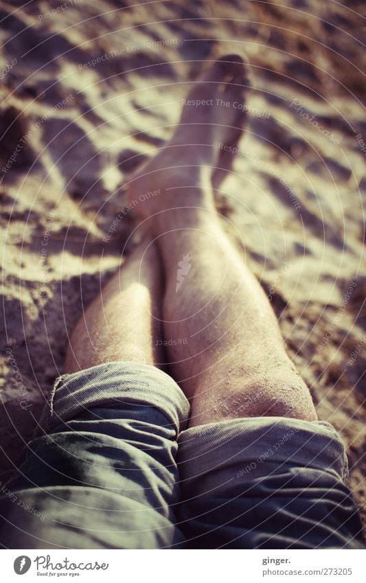 Hiddensee | Der Strand lockt Freizeit & Hobby Ferien & Urlaub & Reisen Beine liegen Erholung Pause Knie Jeanshose umgeschlagen Wade Fuß Zehen maskulin Behaarung