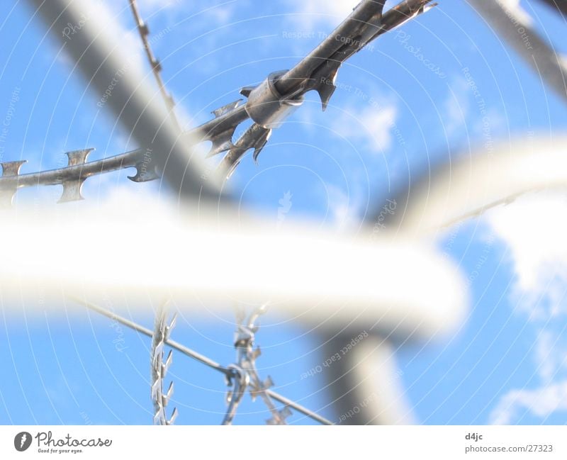 Gefangen Draht Stacheldraht Wolken gefährlich gefangen Freizeit & Hobby Himmel Metall Spitze Justizvollzugsanstalt durcheinander blau