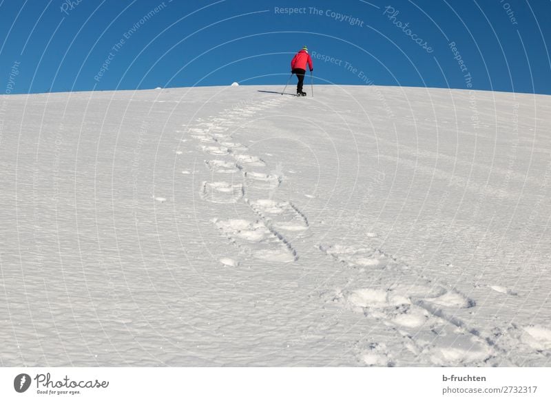 Schneeschuhwanderung sportlich Freizeit & Hobby Wintersport wandern Frau Erwachsene 1 Mensch Alpen Berge u. Gebirge Schneeschuhe gehen Sport Freiheit