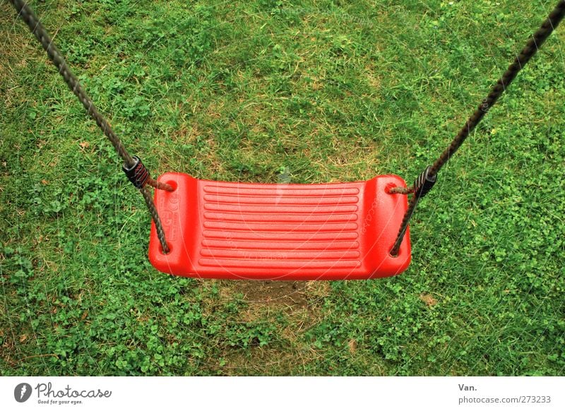 Schaukel Pflanze Gras Garten schaukeln grün rot Seil Farbfoto mehrfarbig Außenaufnahme Menschenleer Textfreiraum oben Hintergrund neutral Tag Vogelperspektive