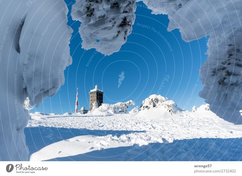 Brockengipfel Natur Landschaft Winter Schönes Wetter Eis Frost Schnee Berge u. Gebirge Harz Gipfel Schneebedeckte Gipfel kalt blau braun weiß Querformat