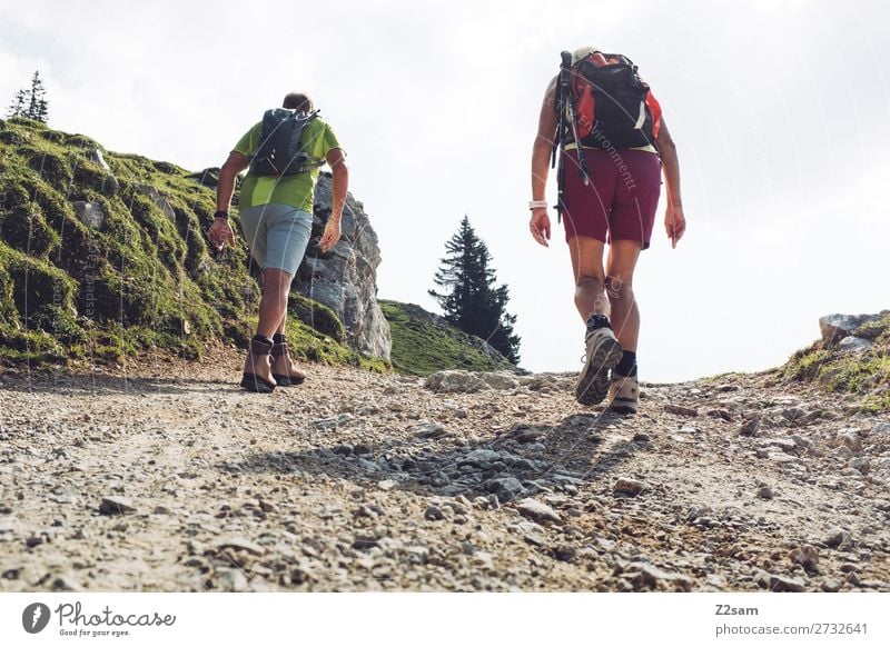 Sportliche Rentner beim Wandern Freizeit & Hobby Sommer Berge u. Gebirge wandern Weiblicher Senior Frau Männlicher Senior Mann Partner 60 und älter Natur