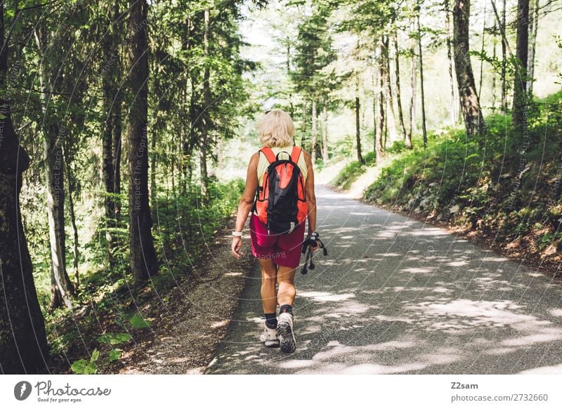 Rentnerin beim Wandern Freizeit & Hobby Ferien & Urlaub & Reisen wandern Weiblicher Senior Frau 60 und älter Natur Landschaft Sonne Sommer Schönes Wetter Baum