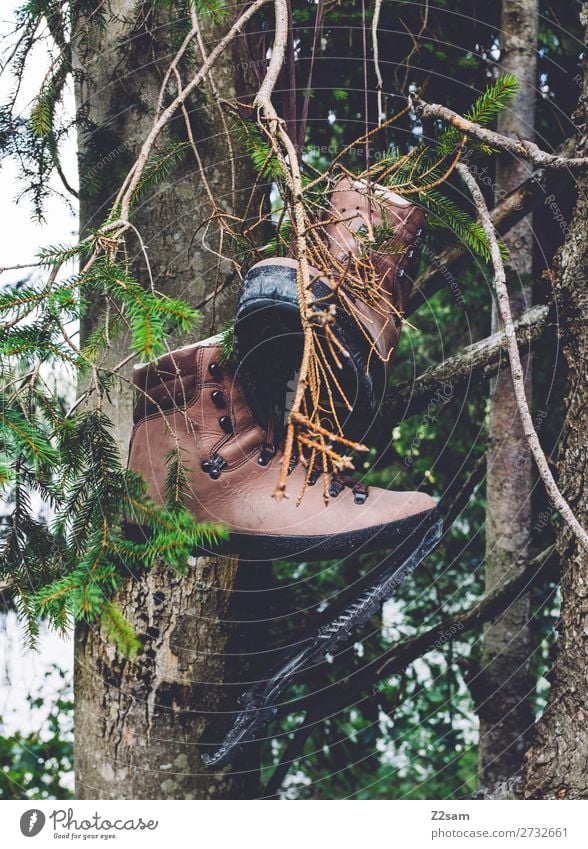 Wanderschuhe Freizeit & Hobby wandern Umwelt Natur Landschaft Herbst Pflanze Baum Schuhe Stiefel hängen alt kaputt natürlich fleißig Trägheit Abenteuer Senior