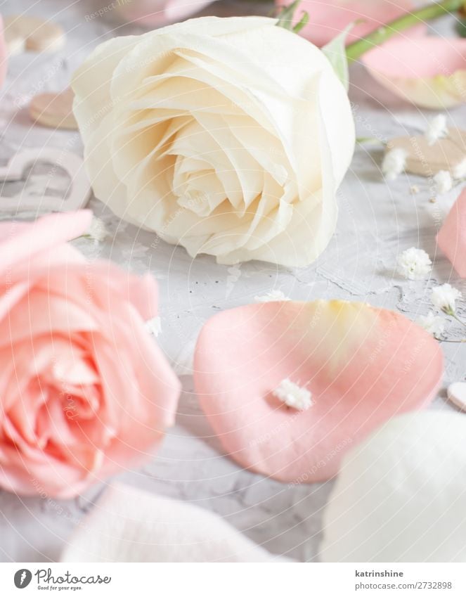 Rosa und cremefarbene Rosen mit Herzen schön Dekoration & Verzierung Valentinstag Hochzeit Handwerk Frau Erwachsene Blume Blüte Holz klein grau neutral Pastell