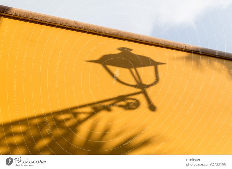 Licht und Schattenspiel an der Wand Ferien & Urlaub & Reisen Sommer Gardasee Himmel Wolken Sonne Schönes Wetter Licht & Schatten Laternenschatten Urlaubsfoto