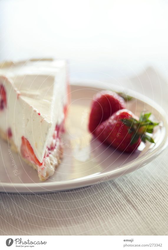 alles Quark Joghurt Frucht Dessert Süßwaren Ernährung Teller lecker süß rot weiß Torte Erdbeeren Erdbeertorte Quarkspeise sommerlich Farbfoto Innenaufnahme