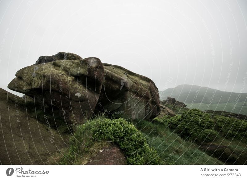 lizard Umwelt Natur Landschaft Urelemente Himmel Wolken Frühling Klima schlechtes Wetter Nebel Regen Hügel Felsen Berge u. Gebirge Gipfel frei natürlich trist