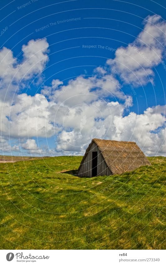 Haus mit Weitblick Umwelt Natur Landschaft Luft Himmel Wolken Klima Wetter Pflanze Garten Einfamilienhaus Traumhaus Hütte Bauwerk Gebäude Dach Reetdach Düne