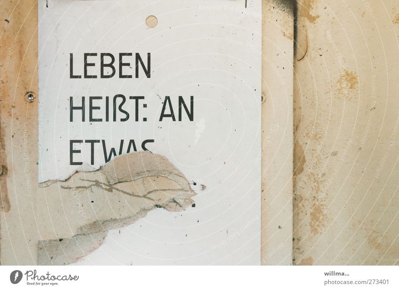 Leben heißt: An etwas - glauben? Glauben Wand Schriftzeichen kaputt weiß Hoffnung Religion & Glaube Ziel Zukunft Text Plakat Aushang Information