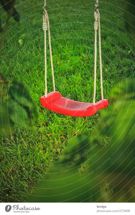 Abwarten Kinderspiel Schaukel Wiese hängen leuchten grün rot Erwartung Kindheit Freude 1 Blatt Garten Spielzeug Farbfoto Außenaufnahme Menschenleer