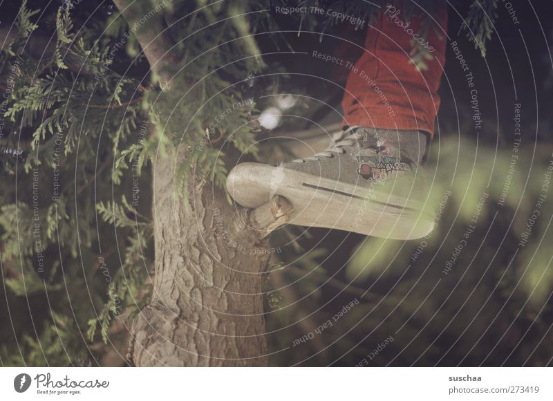 stück für stück ... Kind Kindheit Beine Fuß 3-8 Jahre Natur Baum selbstbewußt Leben Klettern steigen Baumstamm Mut Gedeckte Farben Außenaufnahme Detailaufnahme