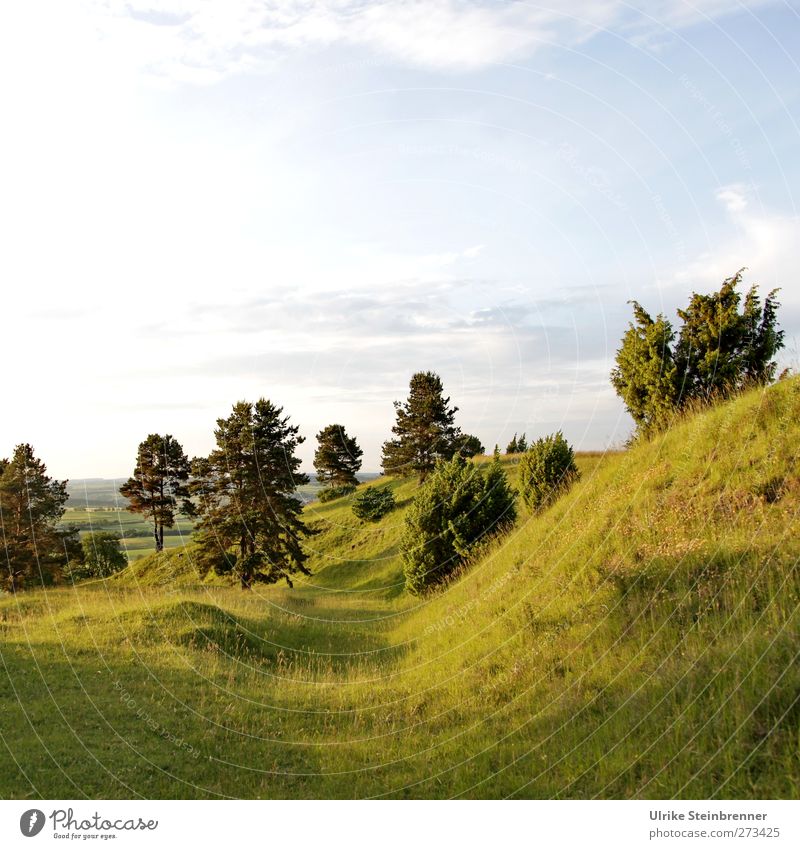 UT S/HD 2012 Heimat Umwelt Natur Landschaft Pflanze Himmel Wolken Sommer Schönes Wetter Baum Gras Sträucher Wildpflanze Feld Wald Hügel Berge u. Gebirge