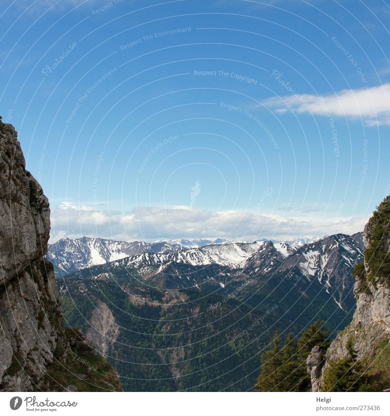 tolle Aussicht... Ferien & Urlaub & Reisen Tourismus Ausflug Berge u. Gebirge wandern Umwelt Natur Landschaft Pflanze Himmel Wolken Frühling Schönes Wetter Baum