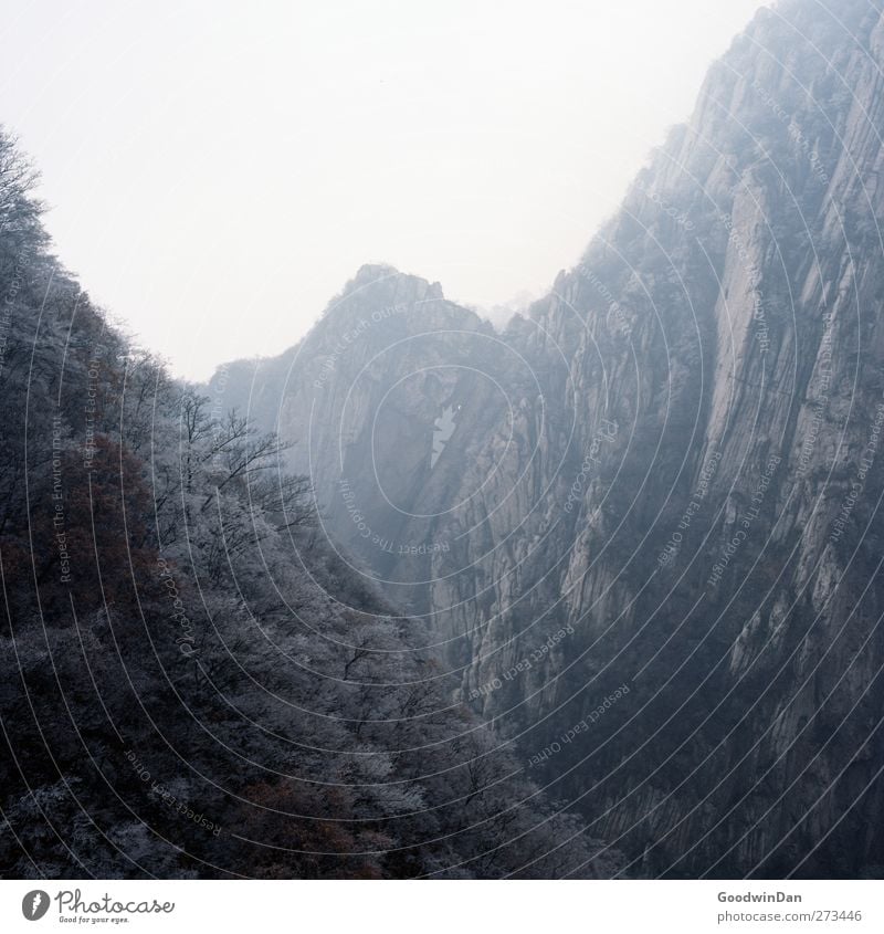 Into the wilderness. Umwelt Natur Winter Klima Wetter Nebel Eis Frost Hügel Felsen Berge u. Gebirge authentisch gigantisch groß Unendlichkeit kalt Farbfoto