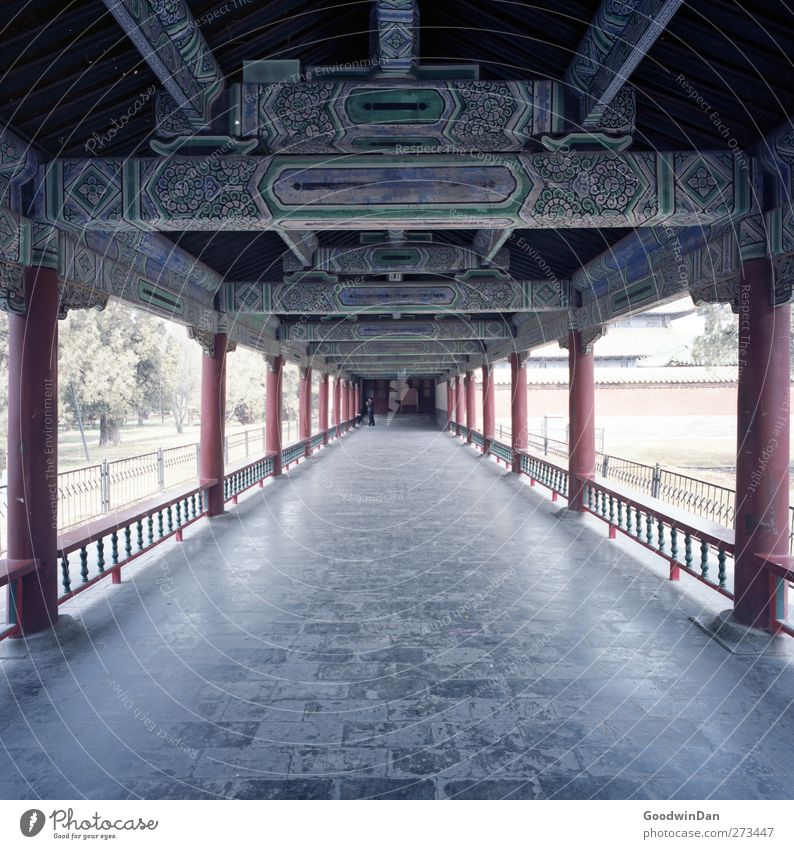 Temple of Heaven. Stadt Hauptstadt Altstadt Bauwerk Architektur Dach Sehenswürdigkeit Wahrzeichen "tempel des himmels peking" alt historisch Sauberkeit schön