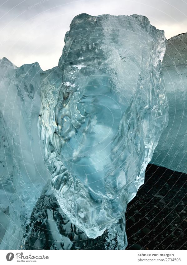 Eiskalte Fakten Umwelt Natur Urelemente Wasser Winter Klima Frost Schnee Küste Fjord blau weiß Coolness Fernweh Umweltverschmutzung Farbfoto Außenaufnahme Tag