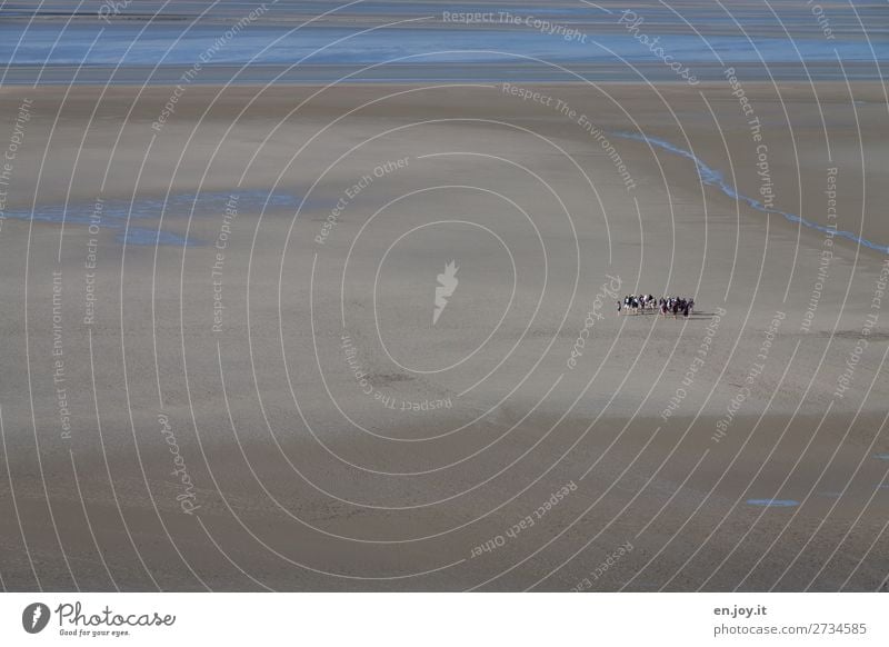 Watt wandern? Ferien & Urlaub & Reisen Tourismus Ausflug Abenteuer Ferne Sommer Sommerurlaub Strand Meer Mensch Menschengruppe Natur Landschaft Sand Küste