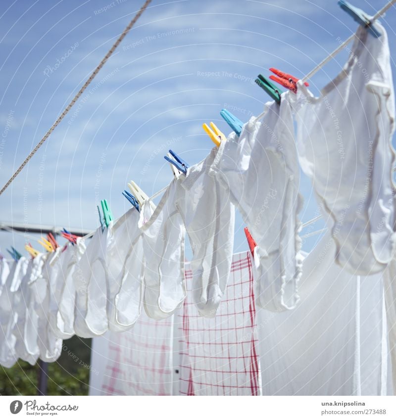 waschtag bei wilma und stanko Himmel Unterwäsche Stoff Unterhose Baumwolle hängen trocknen Wäscheleine Klammer Farbfoto Außenaufnahme Nahaufnahme Detailaufnahme