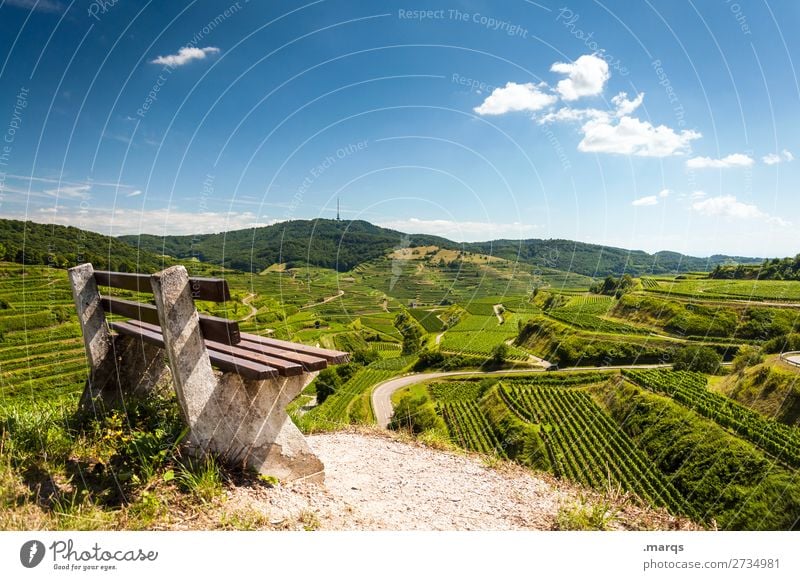 Kaiserstuhl wandern Landschaft Sommer Schönes Wetter Wein Terrassenfelder Bank Erholung natürlich Natur Pause Farbfoto Außenaufnahme Menschenleer