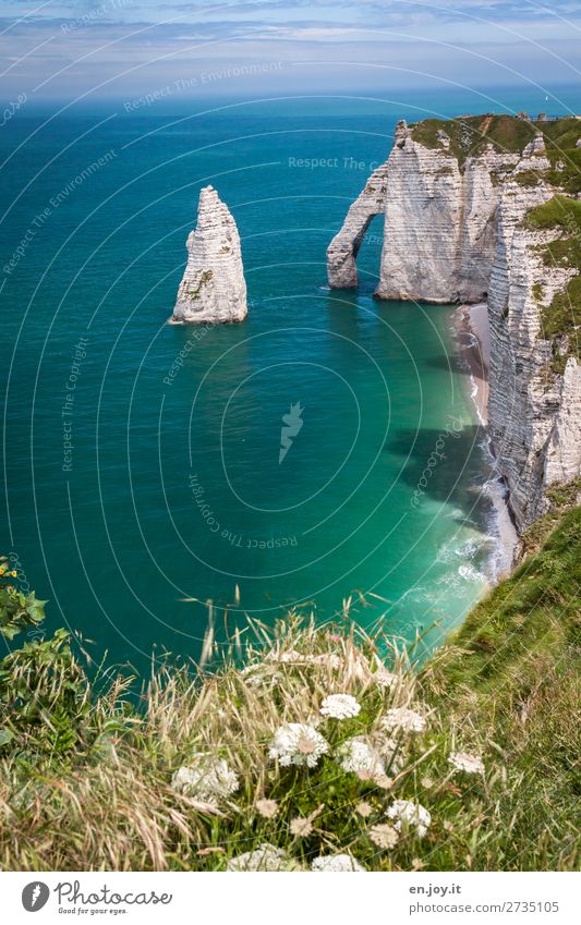 Fernweh | Erosion Ferien & Urlaub & Reisen Tourismus Ausflug Ferne Sommer Sommerurlaub Meer Natur Landschaft Himmel Horizont Schönes Wetter Blume Gras