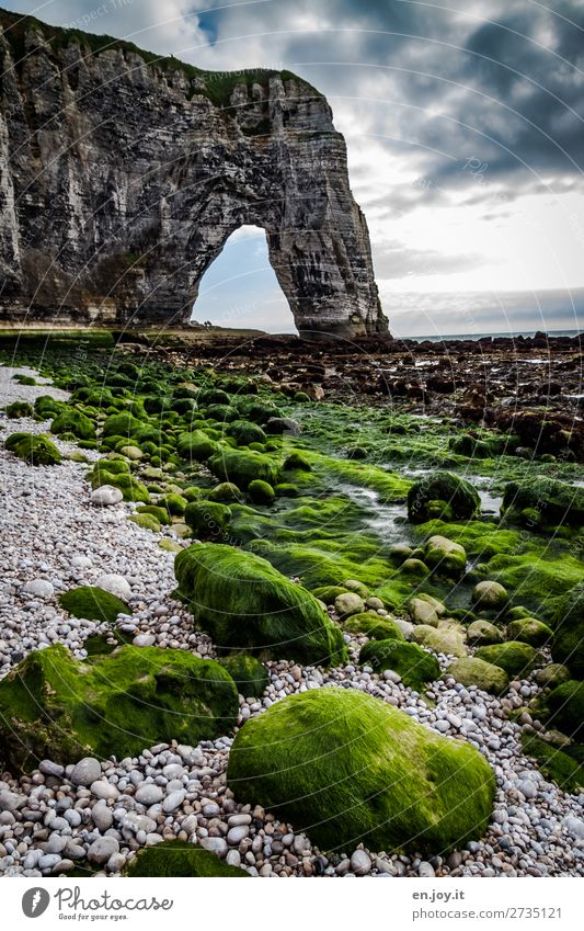 auf Meereshöhe Ferien & Urlaub & Reisen Ausflug Natur Landschaft Himmel Wolken Horizont Klima Klimawandel Algen Wasserpflanze Felsen Küste Strand Kieselstrand