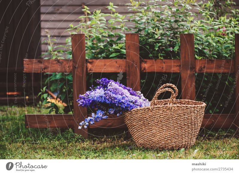 Strauß aus verschiedenen mehrfarbigen Delphinien schön Sommer Haus Garten Dekoration & Verzierung Gartenarbeit Natur Pflanze Blume Blüte Blumenstrauß Holz