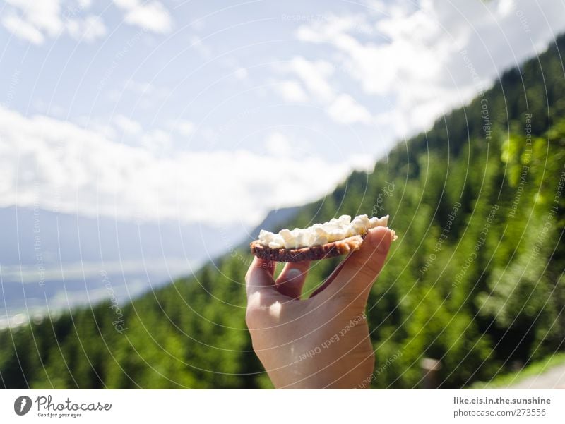 gesunde brettljause Lebensmittel Käse Getreide Brot Ernährung Essen Picknick Bioprodukte Vegetarische Ernährung Slowfood Fingerfood Umwelt Natur Landschaft