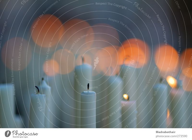 erloschene Flammen Kerze Wärme orange Stimmung Warmherzigkeit trösten Trauer Tod Erinnerung Gebet Gebetsstätte Kerzenschein Kerzenflamme Unschärfe Blendenfleck