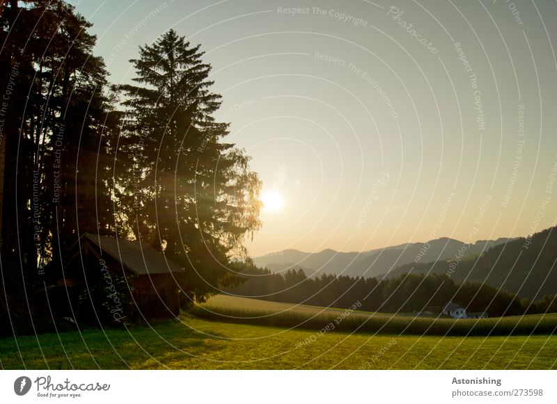 es dämmert Umwelt Natur Landschaft Pflanze Luft Himmel Sonne Sonnenaufgang Sonnenuntergang Sonnenlicht Sommer Wetter Schönes Wetter Wärme Baum Gras Sträucher