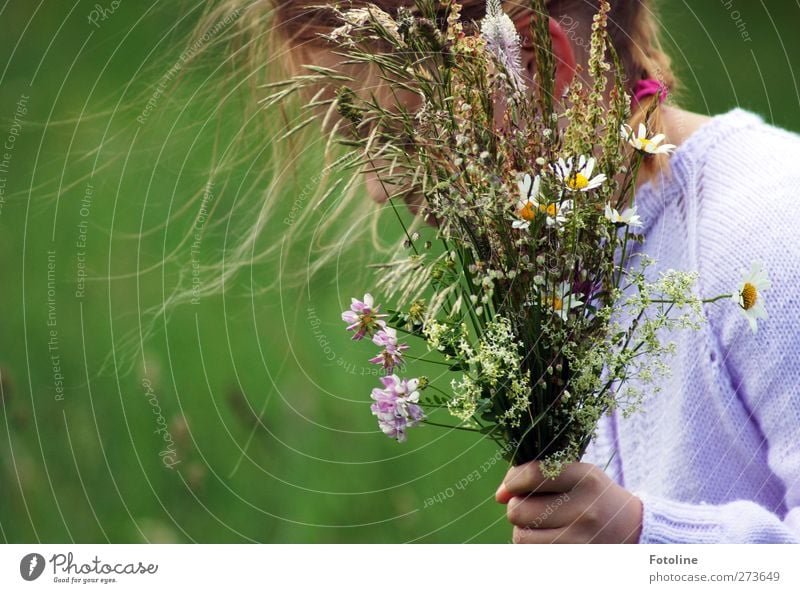 Blumen für Omi Mensch feminin Kind Mädchen Kindheit Haut Kopf Haare & Frisuren Hand 1 8-13 Jahre Umwelt Natur Pflanze Urelemente Luft Sommer Gras Blüte Garten